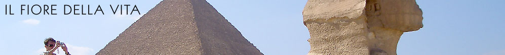 Il Fiore della Vita