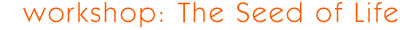 workshop: the seed of life